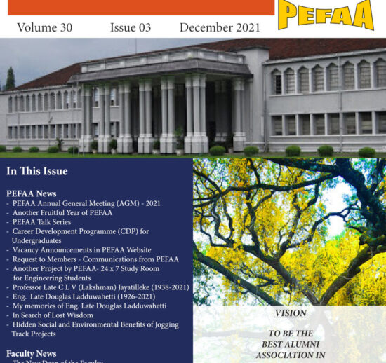 Newsletter V30 Issue 03